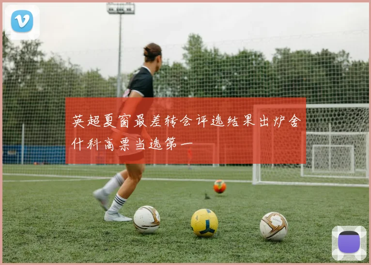 英超夏窗最差转会评选结果出炉舍什科高票当选第一