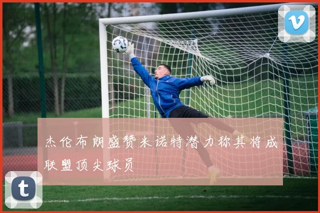 杰伦布朗盛赞米诺特潜力称其将成联盟顶尖球员